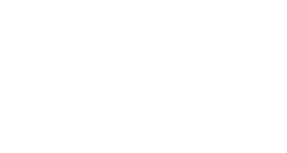 Founder Gap